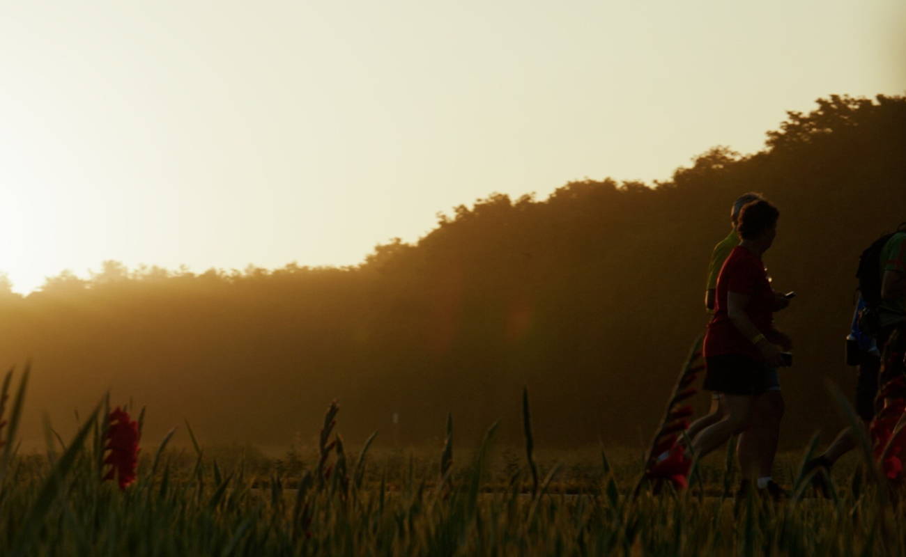 About the 4Days Marches